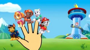 Finger Family Collection Pokemon GO  Top 10 Finger Family Songs  Finger Family Song Paw Patrol