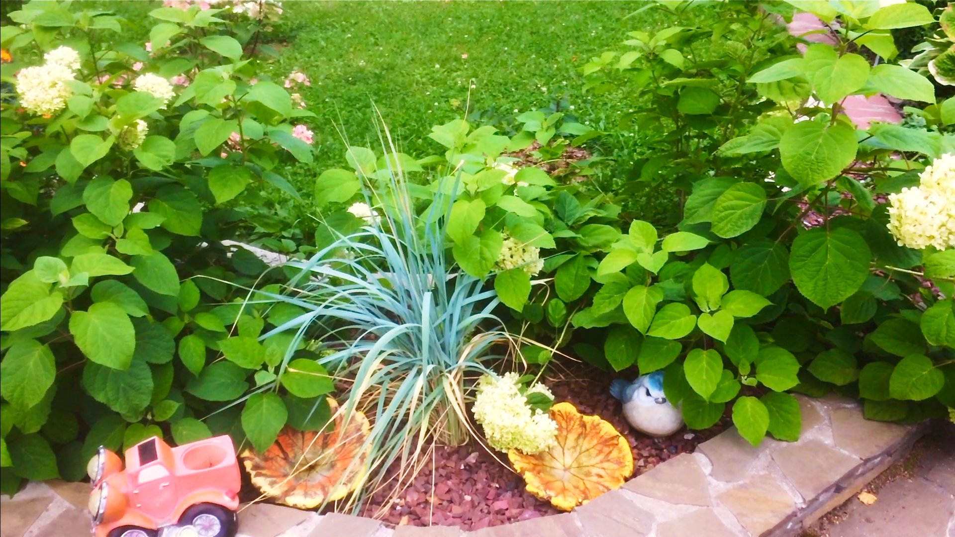 ПЕРЕСАДКИ. КОРА ЛИСТВЕННИЦЫ ЧЕРЕЗ ТРИ Г. ГОРТЕНЗИИ / ЛАПЧАТКА / ЛИЛЕЙНИК. Видео из архива 2021г. смотреть онлайн