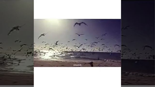 Ма Ша Аллах😍 смотреть онлайн