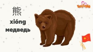 Китайский для начинающих. Животные на китайском онлайн