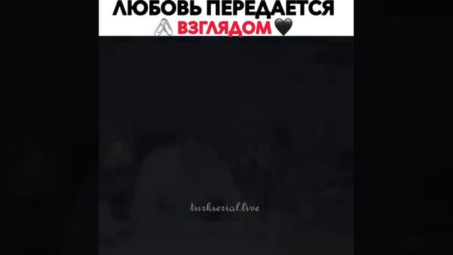 Любовь передаётся🖇️взглядом🖤 смотреть онлайн