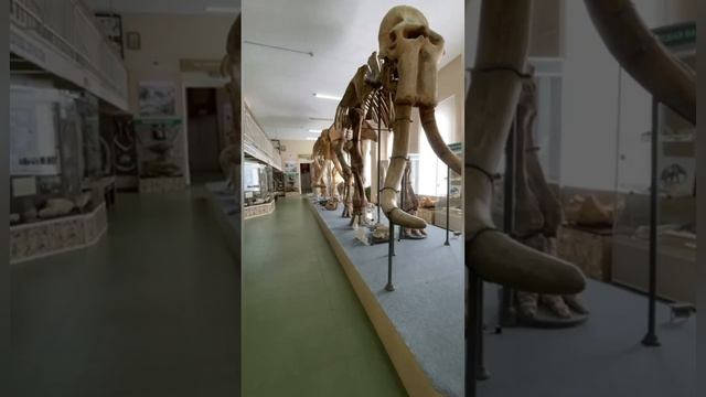 Рядом с нами кто?