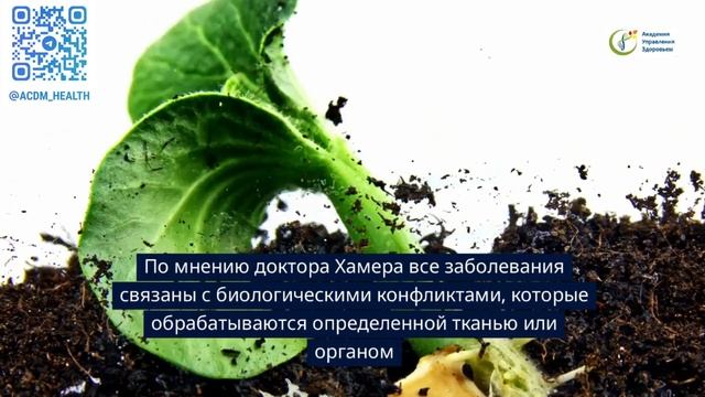 Германская Новая Медицина и Эмбриология смотреть онлайн