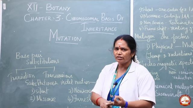CLASS: 12TH | Subject: BIO_ BOTANY | CHAPTER_3 | TOPIC: CHROMOSOMAL BASIS OF HEREDITY смотреть онлайн