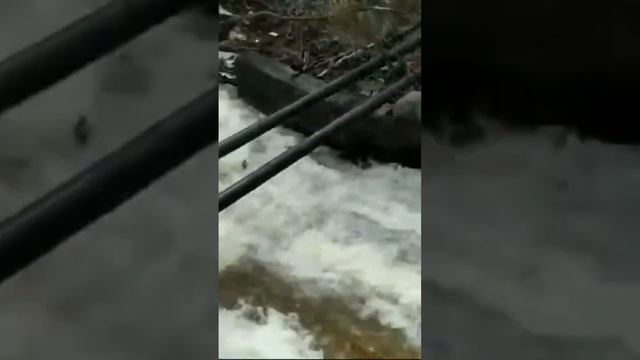 Паводок,плотина в Московской области смотреть онлайн