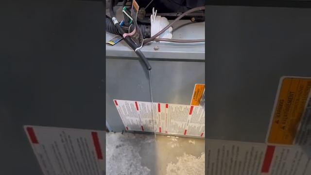 High Efficiency Furnace drain line is clogged which leads to pressure switch failure смотреть онлайн