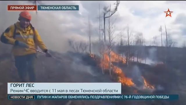 Звезда, Природные пожары, 10 мая 2021