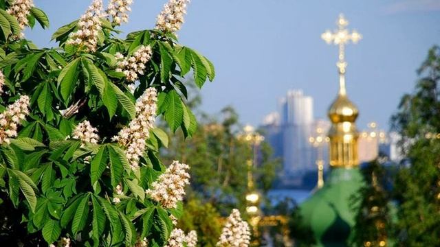 Україно смотреть онлайн