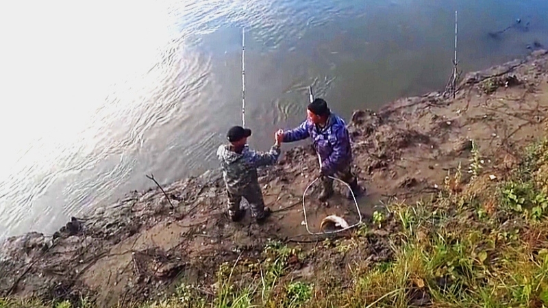 РЫБАЛКА НА САЗАНА.ЖДАЛИ ОДНОГО, А ПРИШЛИ ДВА!