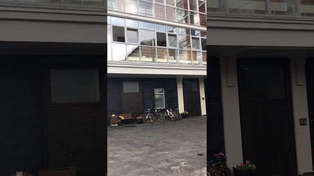 Беспредел чиновников в пермском крае смотреть онлайн