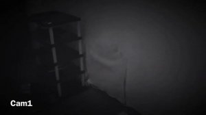 Пять Ночей С Карлсоном Gameplay