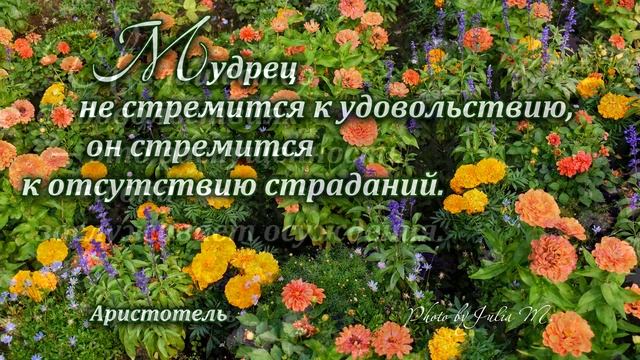 Мудрые мысли Аристотеля смотреть онлайн