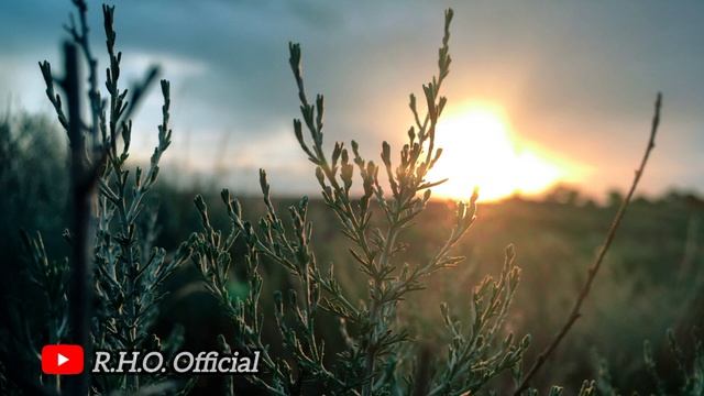 Fokuslah pada hal-hal yang Positif dan yang Bermanfaat // R.H.O Official смотреть онлайн