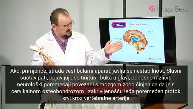 Glavobolja i kako poboljšati cirkulaciju krvi u glavi - Nuga Best - prsluk MHP100 смотреть онлайн