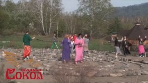 Вихревая торсионная математика Лабиринтов