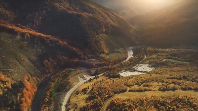 Во время похорон девушки, дикий волк запрыгнул на гроб и стал его неистово грызть. Из дыры люди... смотреть онлайн