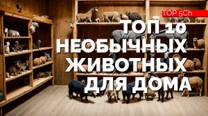 ТОП 10 редких и необычных животных для дома.