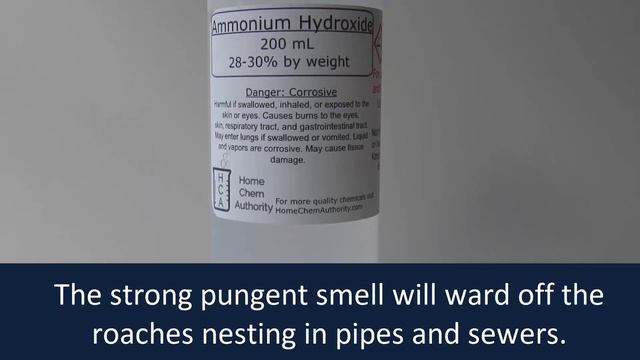 How To Get Rid Of Cockroaches Permanently смотреть онлайн