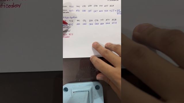 How To Perform Replication,Transcription, And Translation