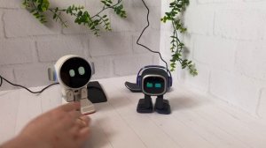 Emo и Rux, с кем из питомцев больше всего проблем?