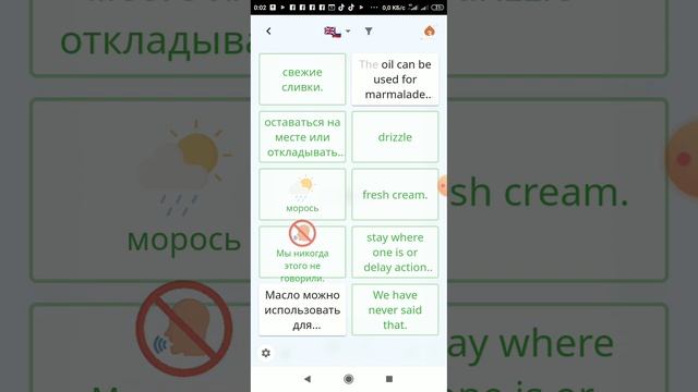 Слова и фразы в приложении DuoCards смотреть онлайн