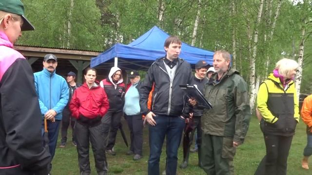 Комментарии к разделу В смотреть онлайн