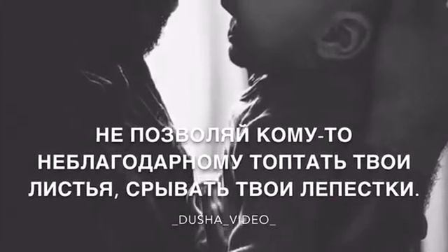 Цените своих родителей они у вас одни❤️ смотреть онлайн