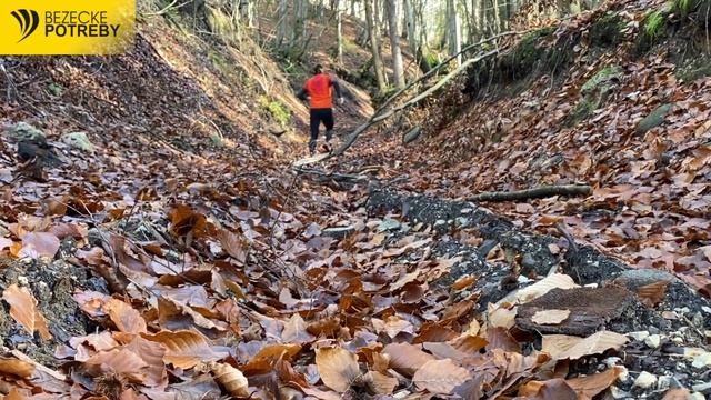 Test ASICS Gel-Fujitrabuco Sky смотреть онлайн