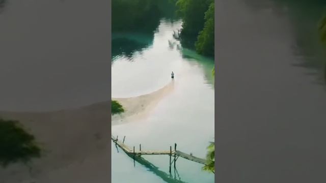 Мои родные Клетки тела✨ смотреть онлайн