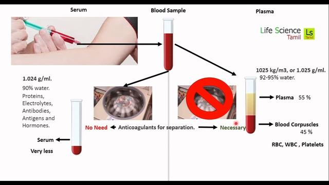 SERUM AND PLASMA DIFFERENCE IN TAMIL | LIFESCIENCE TAMIL смотреть онлайн