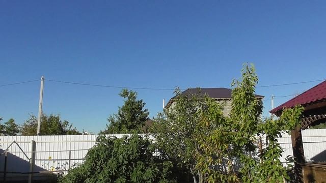 Пополнение на полигоне! Утренний гон голубей на полигоне!