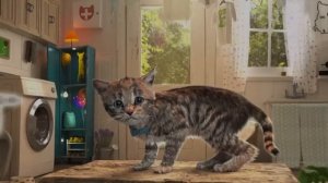 Cutr little kitten Adventure - cartoon for little kids boys and girls @littlekittenfriends  #633