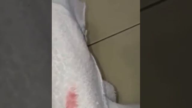 ЭКО Гринвей смотреть онлайн