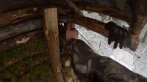 СТРОЮ ХИЖИНУ в ЛЕСУ! Кладём МОХ с ДРУГОМ. ДОМИК в ЛЕСУ 8 ДЕНЬ СТРОЙКИ 4K