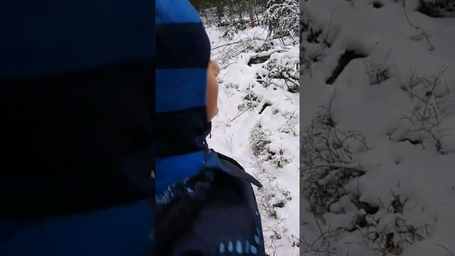 Зимняя прогулка. Ищем друзей хомяку Лисику! смотреть онлайн