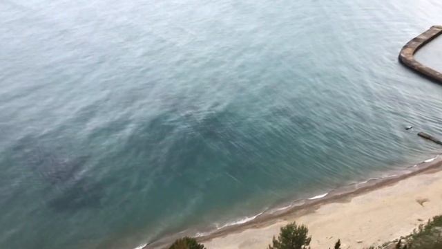 Вид с отеля Мюссеры, Пицунда, Абхазия 1 смотреть онлайн