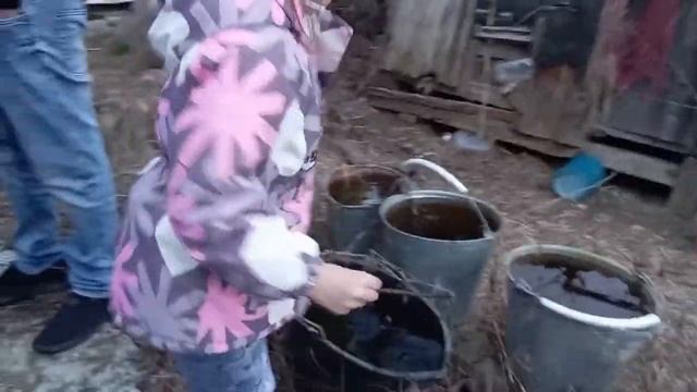 с 23 февраля!! (шашлык из курицы) смотреть онлайн