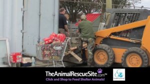 The Animal Rescue Site: Helping Flooded Shelters After Sandy