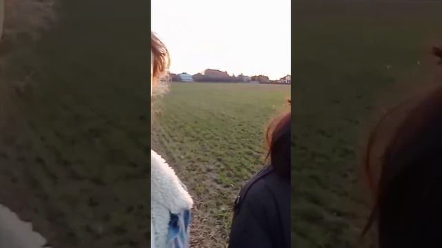 вызываем диму горгона #оченьстранныедела #юмор #фентези смотреть онлайн