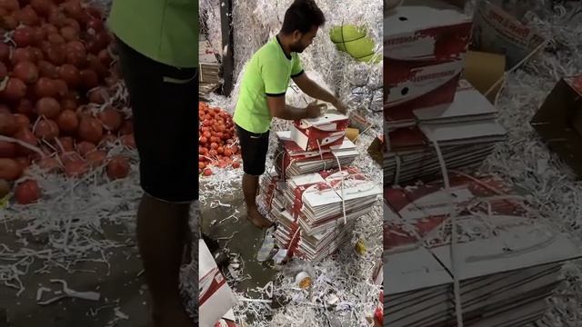 How to do Export packing of pomegranate, Pomegranate Export packing, Export import Business смотреть онлайн