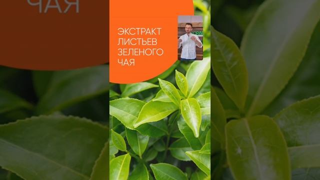 Липостик - новый продукт Сергей Семенченко #fattofit сезон 1 смотреть онлайн