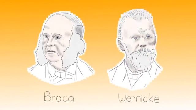 Миф о полушариях мозга Ted Ed смотреть онлайн