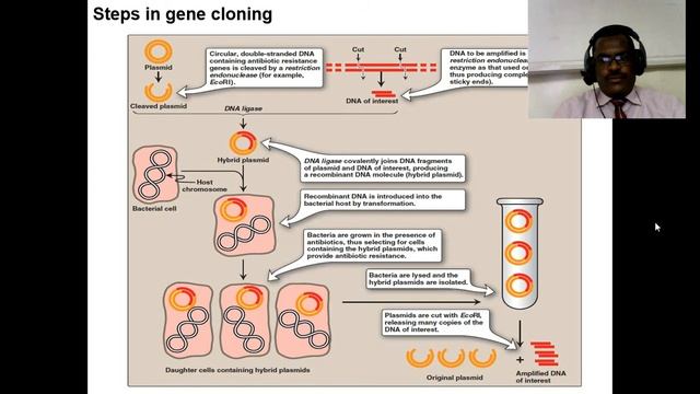 Fudamentals Of Molecular Biology = Basic Molecular Biology Techniques Lecture II