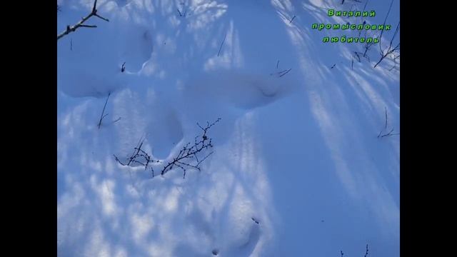 22 01 21 Поход по старым местам,часть№1