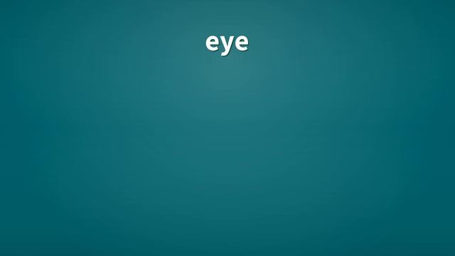 Eye | Definition Of Eye