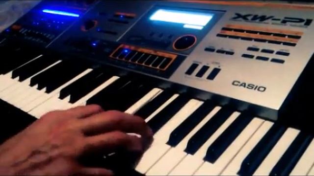 CASIO XW-P1