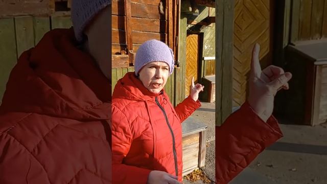 ГЛАДКО ТОЛЬКО НА БУМАГЕ. Часть 15. НЕТ НИ ОДНОГО ИЗ ДЕЛОПУТОВ В ТАКИХ "НЕВЕТХИХ" ДОМАХ,МЭР И ГЛАВА смотреть онлайн