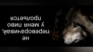 Цитаты (ауф)