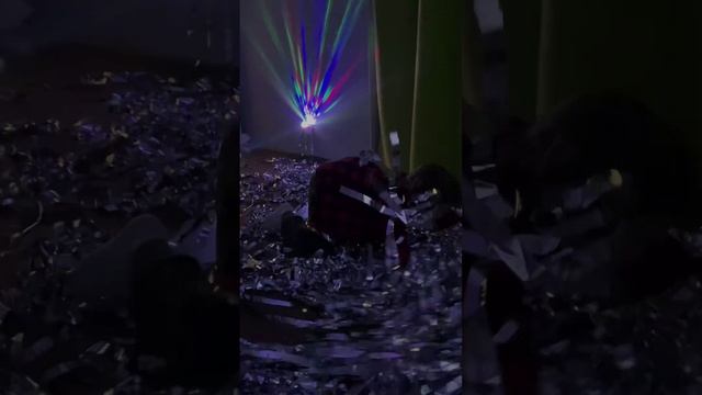 Завалили блёстками всю квартиру смотреть онлайн