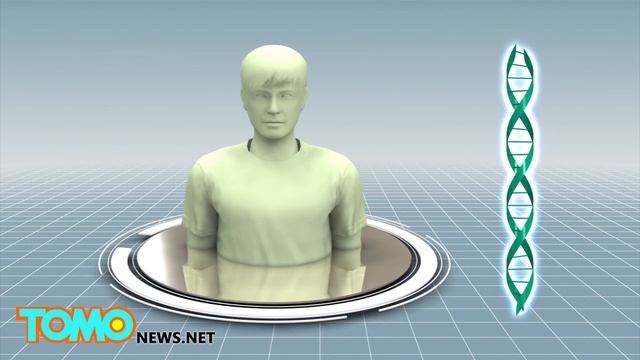 Cancer Cure Research: Elephants' Protein Gene TP53 Can Suppress Tumors - TomoNews